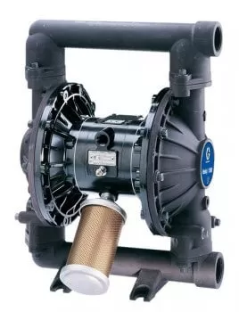  Морская капуста