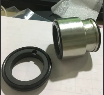 0280 GH-BS2 T/CarSicEP торцевое уплотнение